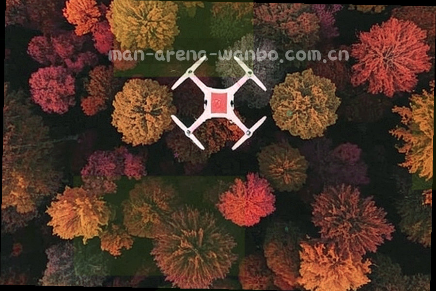资料卡片与分类标签在屏幕上的抽象特写，冷色调，改动处用橙色描边标出